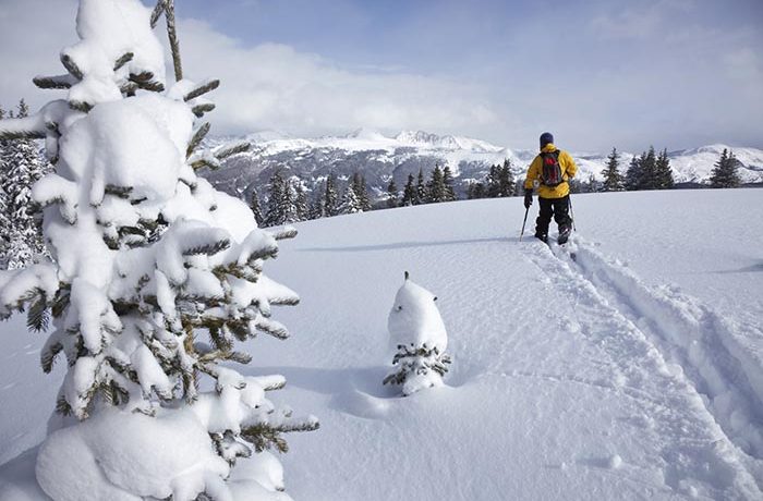 Top 5 Places to Backcountry Ski in Colorado
